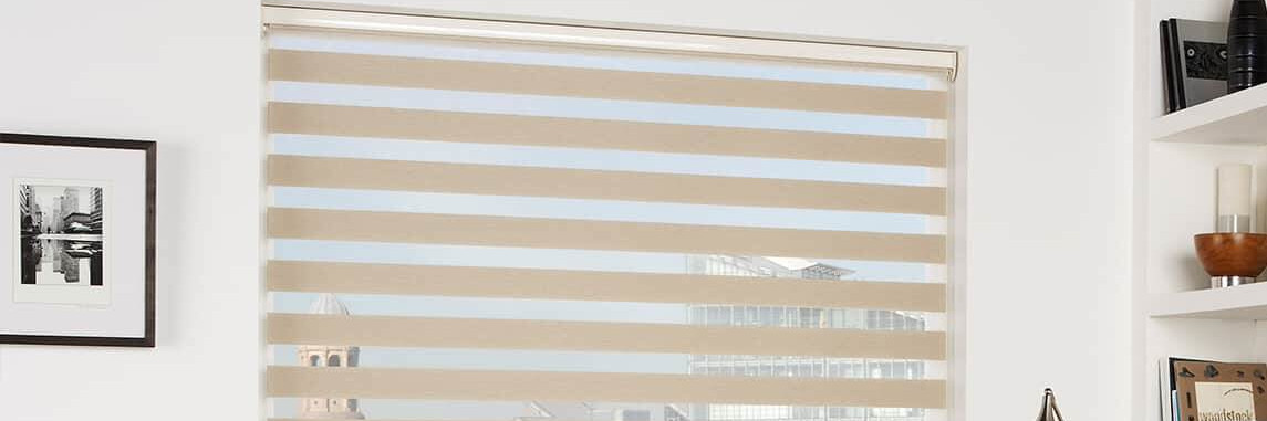 Vision Blinds